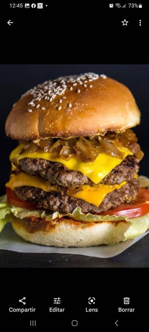 Burger carne