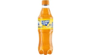 Country Club Naranja Pet 400ml